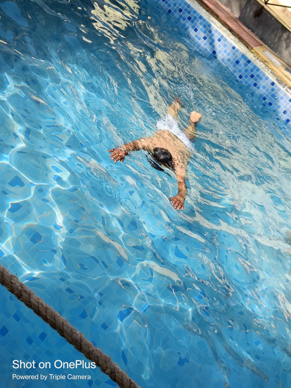 Riverside Swiss Camp & Cottage 